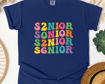 SeniorComfort Colors tshirt, Class of 2026 Graduation Shirt, High School Year Gift
