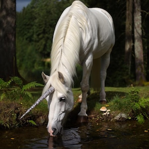 Unicorn Forest Scene: Photorealistic Fantasy Art Print (Digital Download)