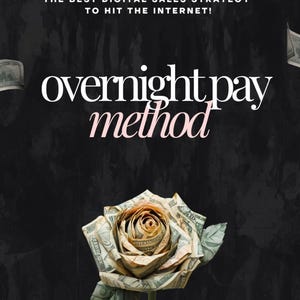 May include: A dark background with the text "overnight pay method" in white and pink. A rose made of folded banknotes is in the center. The text "Wake up to sales-no followers, no ads, no website needed" is at the top.