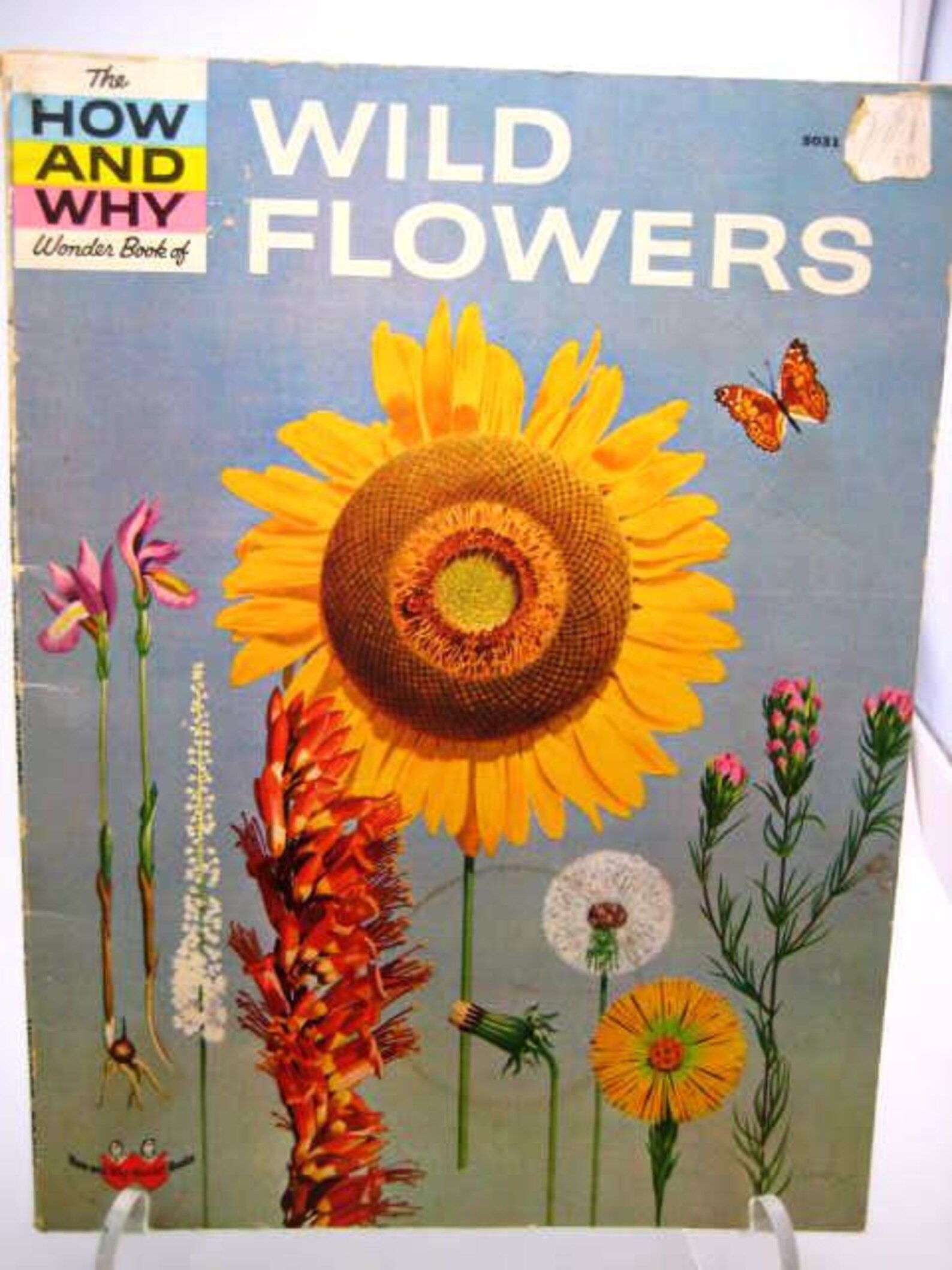 How and Why Wonder Book of Wild Flowers Vintage 1962 Etsy