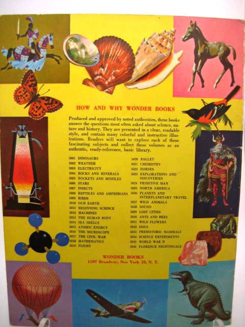 How and Why Wonder Book of Wild Flowers Vintage 1962 Etsy