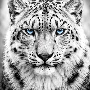 Poster di leopardo delle nevi in bianco e nero, arte murale naturalistica con occhi azzurro ghiaccio, stampa di leopardo delle nevi, elegante arte animale per la casa PDF DIN A1 - DIN A5
