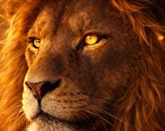 Lion Glow Wildlife Wall Art Animal Poster Modern Art Print Lion Decor Living Room Gift Digital Download Rare Elegance