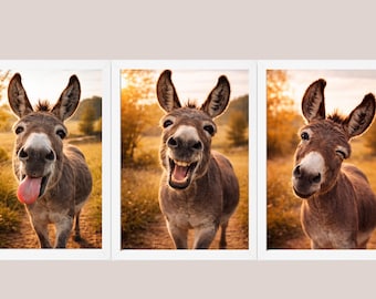 Juego de 3 pósteres divertidos de burros, decoración de pared con burros, animales graciosos, pósteres de animales divertidos para cocina/pasillo, decoración de pared con animales, idea de regalo.