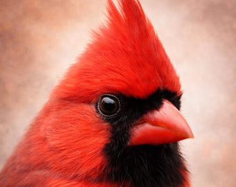 Cardinal Bird Poster, Modern Animal Portrait, Minimalist Animal Wall Art, Wildlife Art, Living Room Decor, Rare Elegance Series