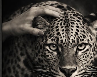 Póster de leopardo en blanco y negro – Arte mural de vida silvestre A4 A3 A2 A1, Arte mural de leopardo moderno, Póster de animales vibrantes, Idea de regalo, Decoración de naturaleza