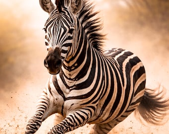 Póster de cebra en movimiento – Arte mural de vida silvestre A4 A3 A2 A1, Arte mural de cebra corriendo, Póster moderno de animales, Idea de regalo, Decoración de naturaleza