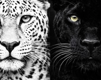 Póster de leopardo y pantera en blanco y negro – Arte mural moderno de vida silvestre, póster de animales en contraste, arte mural de animales en blanco y negro, idea para regalo