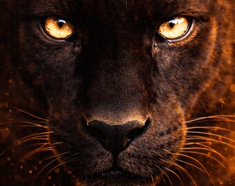 Panther Poster Close Up Augen, schwarzer Panther Wandbild modern, Tierkunst Wohnzimmer, Wildlife Presence, golden light art digital