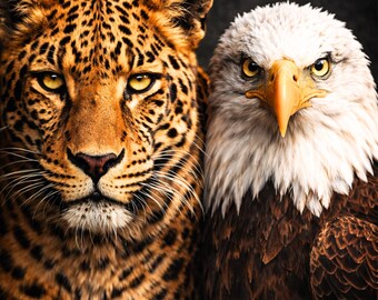 Póster de águila leopardo – Arte mural moderno de vida silvestre, póster de animales en contraste, arte mural de animales águila leopardo, idea de regalo