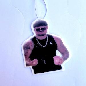 Funny Meme Car Air Fresheners - Novelty Hanging Smelly for Vehicle Interior Decor