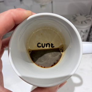 Grappige onbeleefde mokken, aanstootgevende humor cadeau koffie thee grap cadeau
