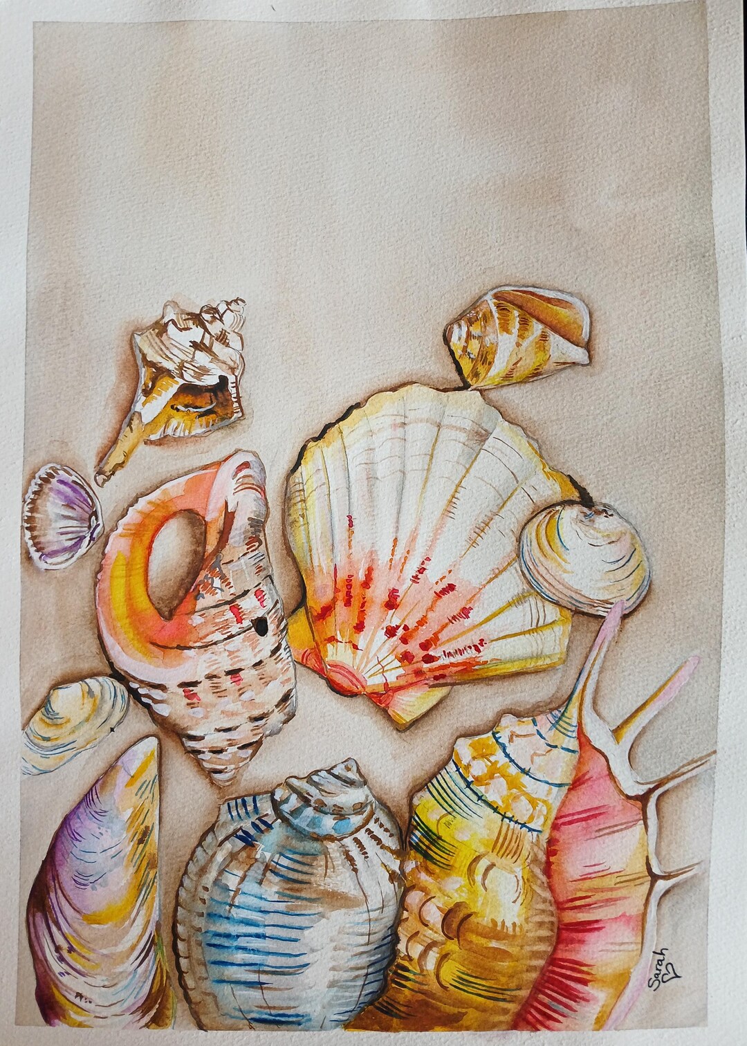 A3 Watercolour Sea Shells. - Etsy