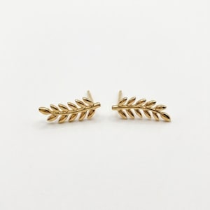 Könnte beinhalten: Ein Paar goldfarbene Ohrstecker in Blattform. Jeder Ohrring hat ein filigranes, detailliertes Design eines Blattzweigs. Die Ohrringe werden auf weißem Hintergrund präsentiert, was ihre filigrane Handwerkskunst und ihren eleganten Stil hervorhebt.
