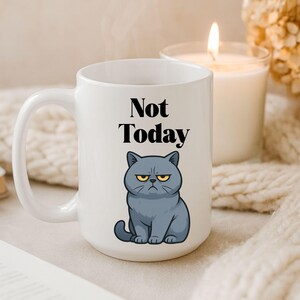 Taza divertida de gato gruñón con el lema "Hoy no", regalo para amantes de los gatos imagen 1