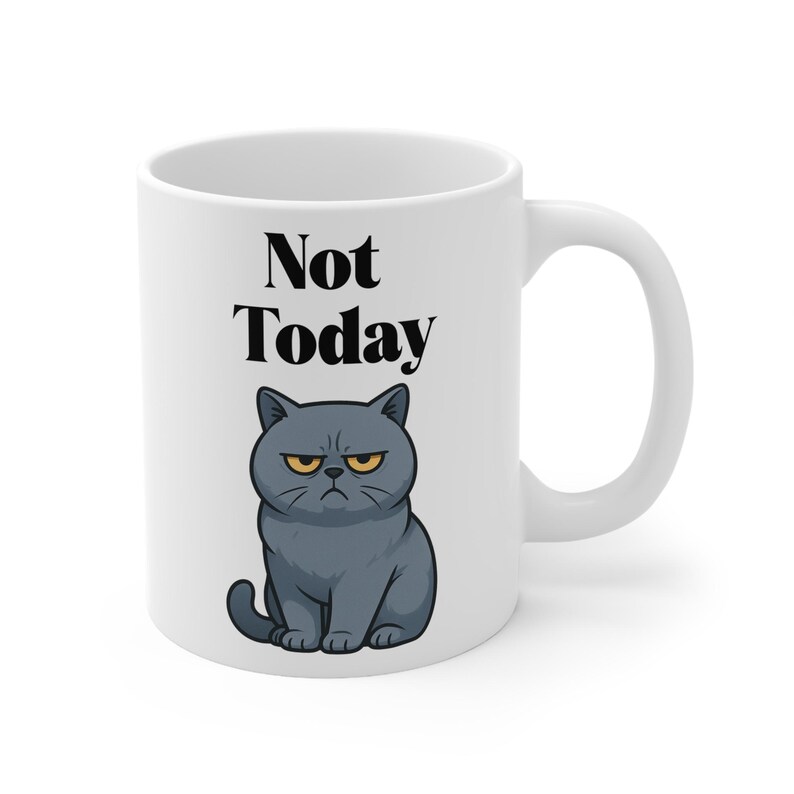 Taza divertida de gato gruñón con el lema "Hoy no", regalo para amantes de los gatos imagen 5