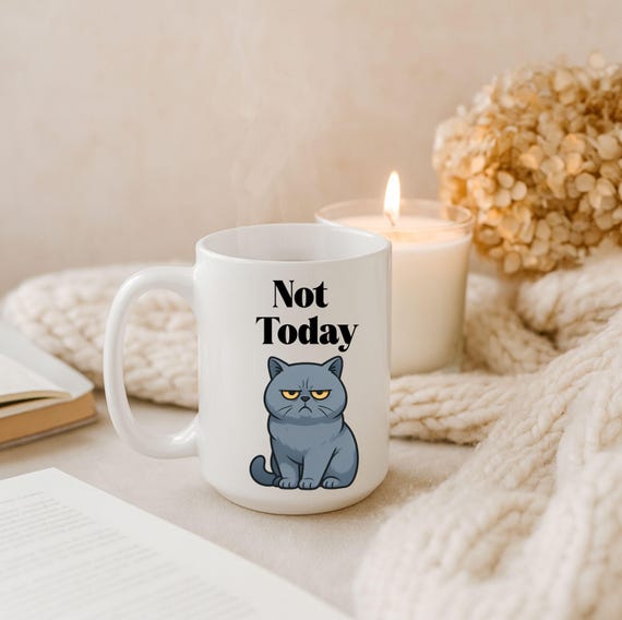 Funny Grumpy Cat Mug, Not Today Slogan, Gift for Cat Lover