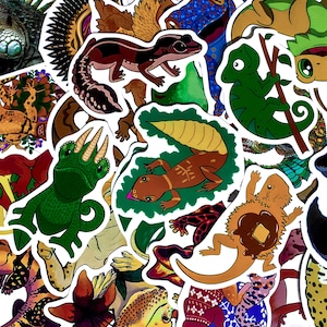 Puede incluir: Una colección de pegatinas con temática de reptiles. Las pegatinas presentan varios lagartos y geckos en tonos verdes, marrones y naranjas. Algunas pegatinas tienen un borde blanco y los diseños son detallados y de dibujos animados.
