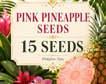 Pink Pineapple Seeds, 15 Tropical Fruit Seeds, Pinkglow Pineapple Type, Ananas Comosus, Rare Container Plant for Indoor Outdoor Growing