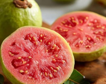 50 Tropical Strawberry Guava Seeds | Organic Pink Guava | Exotic Fruit Tree | Non-GMO