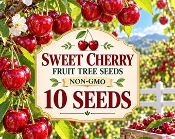 10 semillas de cereza dulce: semillas de árboles frutales tradicionales no transgénicos para plantar en el jardín.