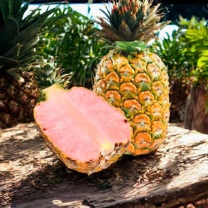 Puede incluir: Una piña entera y una piña cortada por la mitad con pulpa rosa. Las piñas tienen un exterior amarillo y verde con una corona de hojas puntiagudas. El corte revela un interior rosa vibrante, mostrando el color único de la fruta.