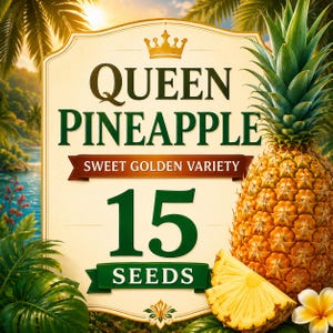Sementes de Abacaxi Rainha: Fruta Tropical Doce e Dourada (15 Sementes)