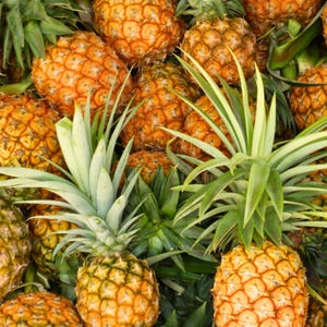 May include: A close-up shot of several ripe pineapples. The pineapples have a textured, segmented exterior in shades of orange and yellow. Green spiky leaves sprout from the top of each fruit. The image is a vibrant display of tropical produce.