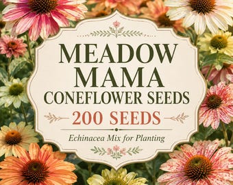 Semi di echinacea Meadow Mama, mix di echinacea, fioriture per impollinatori da giardino rustico