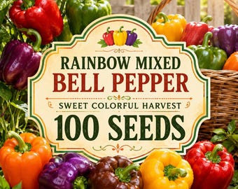 Heirloom Rainbow Mixed Bell Pepper Seeds (100 Seeds) – Sweet Capsicum annuum for Gardens