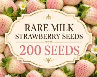 Rare Milk Strawberry Seeds, 200 Seeds, Pale White Pink Fruit, Container Garden Fragaria