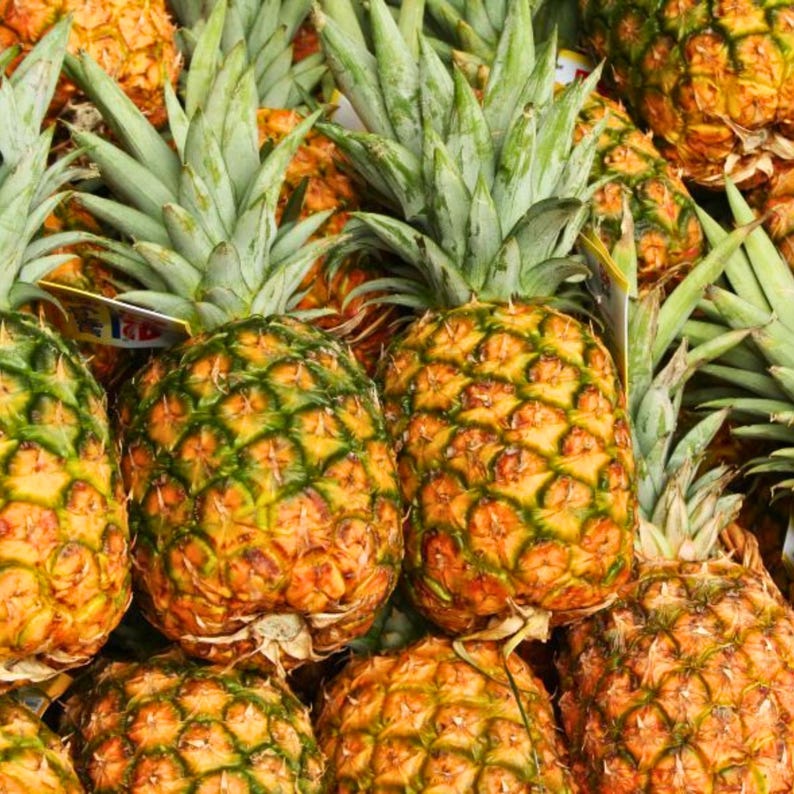 May include: A close-up shot of several ripe pineapples. The pineapples have a textured, segmented exterior, with a mix of yellow and green hues. The green leafy crowns are visible on top of the fruit.