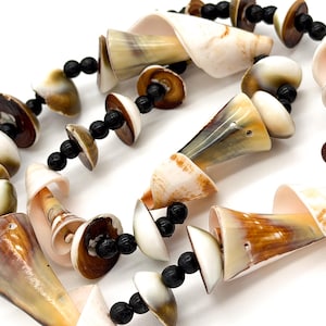 Peut inclure: Un collier composé de coquillages naturels aux tons crème, marron et beige, enfilés avec des perles noires. Les coquillages ont des formes variées, certains en forme de cônes et d'autres en disques plats. Le collier est présenté sur fond blanc.