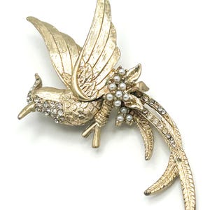 Vintage Bird of Paradise Brooch | Gold Tone Large Statement Bird Brooch Pearl