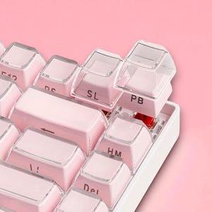 Pink Jelly Translucent PBT Keycap Set – 113 Keys OEM Profile with Side-Printed Legends for Mechanical Keyboard