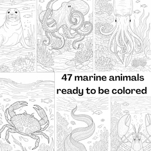 45+ kleurplaten van zeedieren | Vissen | Kleurboek voor volwassenen en kinderen | Oceaankleuring | Direct downloaden | Afdrukbaar pdf-bestand