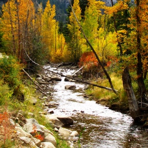 Fall Creek