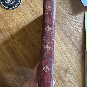 Antique 1882 “Nana” by Émile Zola – Rare Illustrated French Book, Marpon & Flammarion Paris, Collectible 19th-Century Literature
