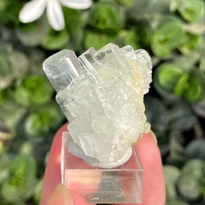 Aquamarine Crystal Cluster from Shigar Valley Pakistan – Transparent Beryl with Mica, Collector Mineral Specimen
