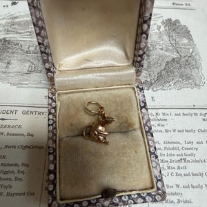Könnte beinhalten: Ein kleiner, goldfarbener Metallanhänger in Form einer Maus mit rundlichem Körper, spitzen Ohren und einem geringelten Schwanz. Der Anhänger verfügt über einen runden Biegering an der Oberseite und befindet sich in einer rechteckigen Schmuckschatulle.