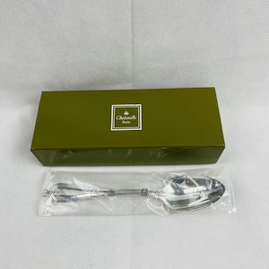 Christofle Spatours model soup spoon, new