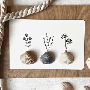 3D-ansichtkaart met echte schelpen als bloemenvaasjes, DIN A6-poster – een cadeau voor speciale gelegenheden en zeeliefhebbers.