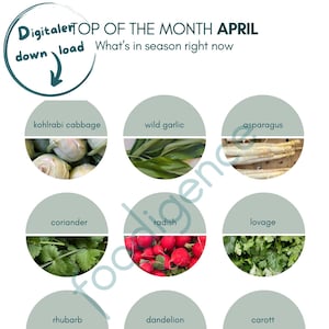 Seasonal calendar month April Version in English Harvest calendar season, printable seasonal calendar, digital poster fruit and vegetables