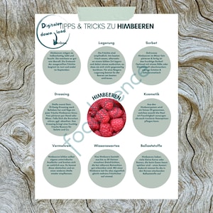Könnte beinhalten: Eine gedruckte Seite mit dem Titel "Tipps & Tricks zu Himbeeren" in deutscher Sprache, mit Text und einem Foto von frischen Himbeeren. Die Seite enthält Tipps zu Lagerung, Sorbet, Dressing und anderen Verwendungen von Himbeeren.
