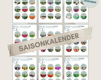 Saisonkalender Monatskalender Erntekalender als PDF, Saisonale Lebensmittel im Jahr I Leitfaden Lebensmittel, digitaler Ausdruck DIN A4 DE