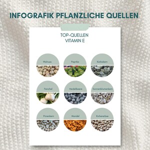 Infografica sulla vitamina E – Panoramica delle migliori fonti vegetali | Download digitale della tabella nutrizionale in tedesco