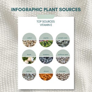 Vitamin E Infographic – Overview of the best plant-based sources | Nutrition Chart Digital Download ENGLISH