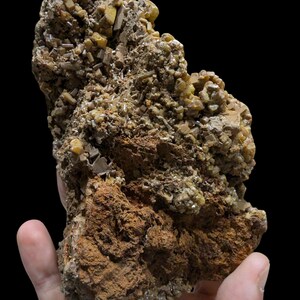 May include: A hand holds a rough, textured rock formation against a black background. The rock is primarily brown with areas of yellow and tan crystalline structures. The overall appearance suggests a natural mineral specimen.