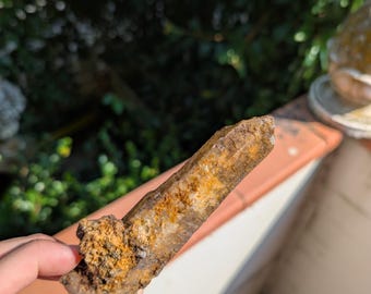 May include: A raw, natural quartz crystal with a rough, textured surface. The crystal is primarily brown with areas of orange and yellow hues. The crystal is held in a hand, with a blurred green background.