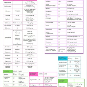 Puede incluir: Una guía de medicamentos pediátricos con medicamentos de emergencia, medicamentos diversos, opioides, agentes de reversión, relajantes musculares y agentes epidurales. Incluye nombres de medicamentos, vías de administración y dosis.